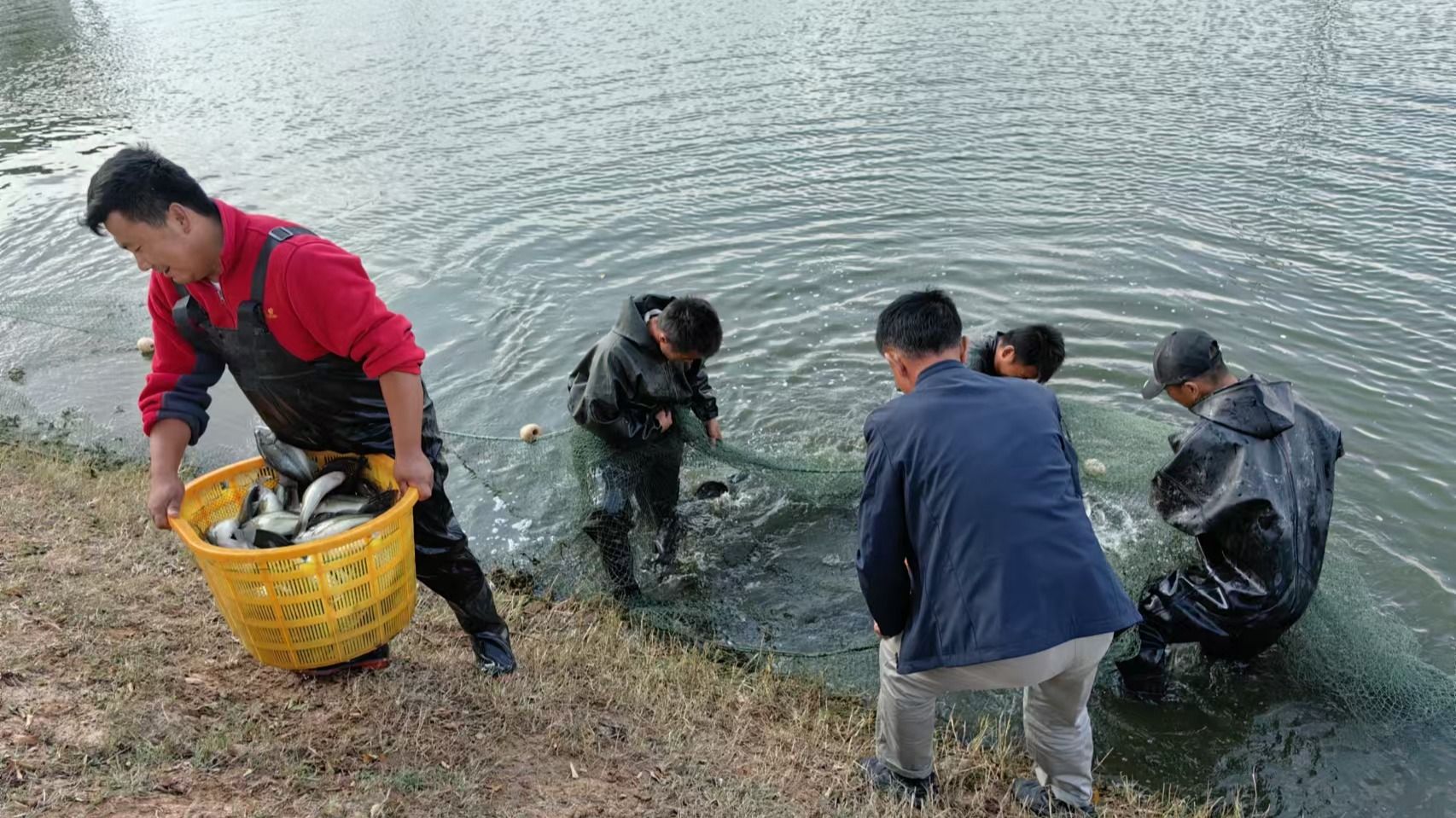 (10)微信图片_20241014170846